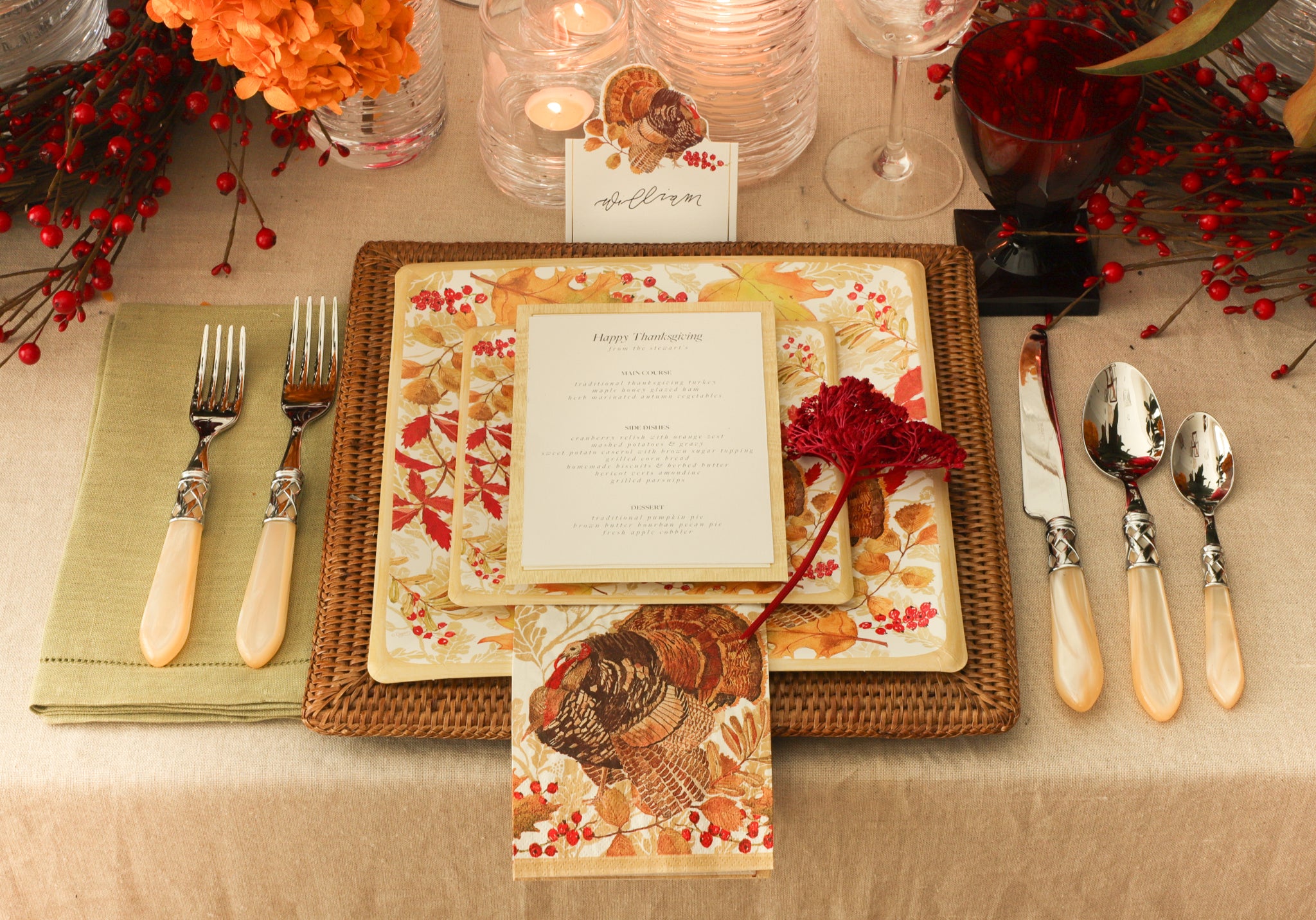 Traditional Thanksgiving Turkey Cloth Dinner Napkins - Set of 4 napkins