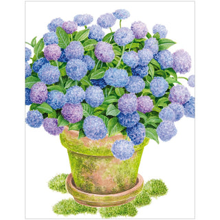 Caspari Potted Hydrangea Enclosure Cards & Envelopes - 4 Mini Cards & 4 Envelopes 10114ENC