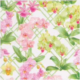 Caspari Orchid Conservatory Gift Wrap - One 30" X 8' Roll 10126RC