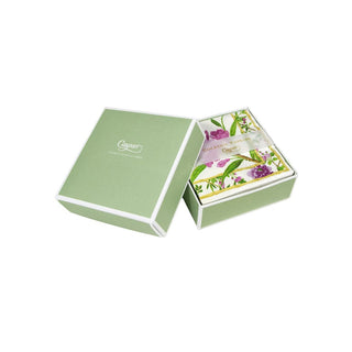 Caspari Wellington Ivory Boxed Cocktail Napkins - 40 Per Box 17870B