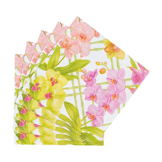 Caspari Orchid Conservatory Cocktail Napkins - 20 Per Package 18370C