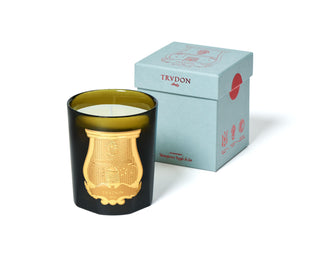 Trudon Trudon Classic Scented Candle - Cyrnos 20585