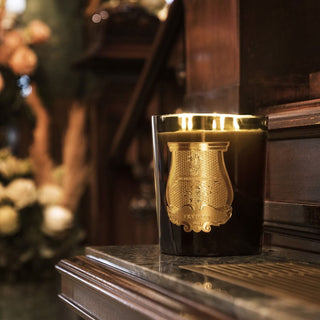 Trudon Trudon Classic Scented Candle - Ernesto 20586