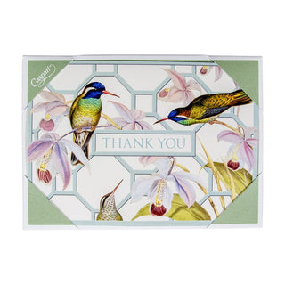 Caspari Hummingbird Trellis Thank You Notes - 8 Note Cards And Envelopes 89612.44B