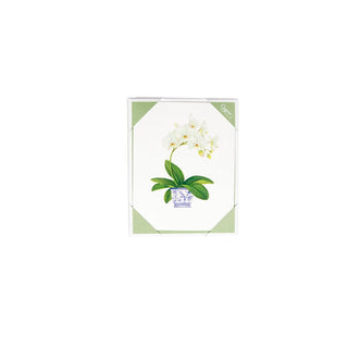 Caspari Potted Orchids Boxed Note Cards - 10 Cards and 10 Envelopes per Package 94605.46A