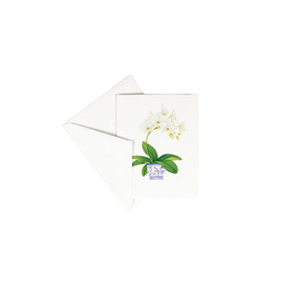 Caspari Potted Orchids Boxed Note Cards - 10 Cards and 10 Envelopes per Package 94605.46A