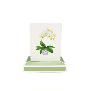 Caspari Potted Orchids Boxed Note Cards - 10 Cards and 10 Envelopes per Package 94605.46A