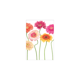 Caspari Botanical Blank - Set Of Six Greeting Cards And Envelopes BLANKBOTANICAL