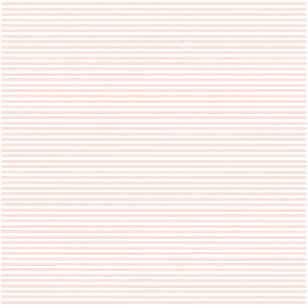 Mini Stripe Tissue Paper in Navy - 4 Sheets Included – Caspari